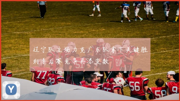 辽宁队主场力克广东队拿下关键胜利季后赛竞争再添变数