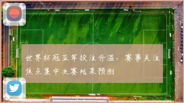 世界杯冠亚军投注升温,赛事关注焦点集中决赛结果预测