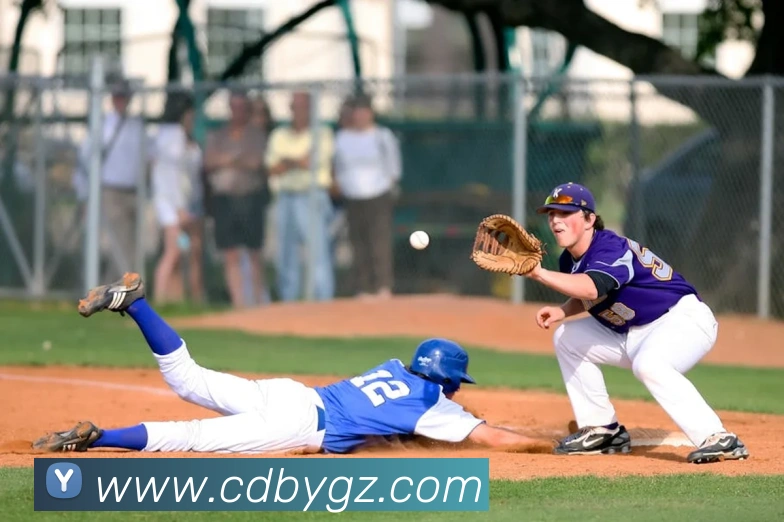 世界杯官方入口平台生态图