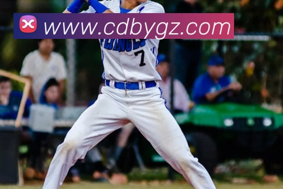 世界杯官方入口全站App